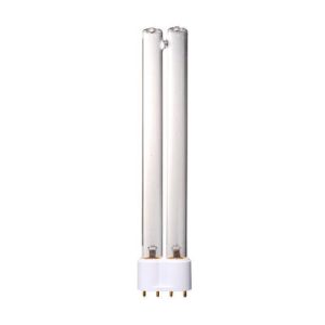 UV curing lamp for screen protector